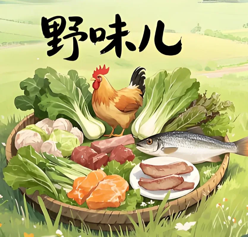 野味儿
