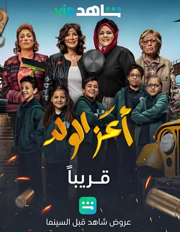 我眼中的宠儿