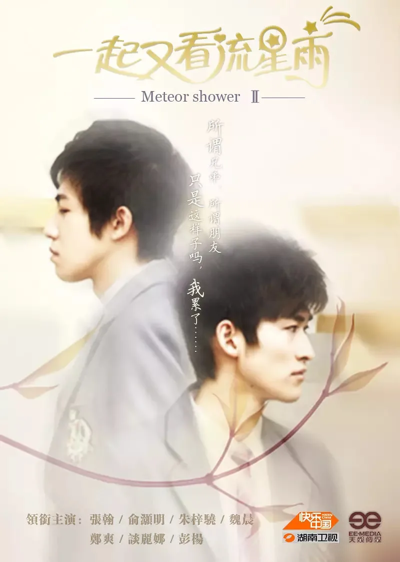 一起又看流星雨 2010