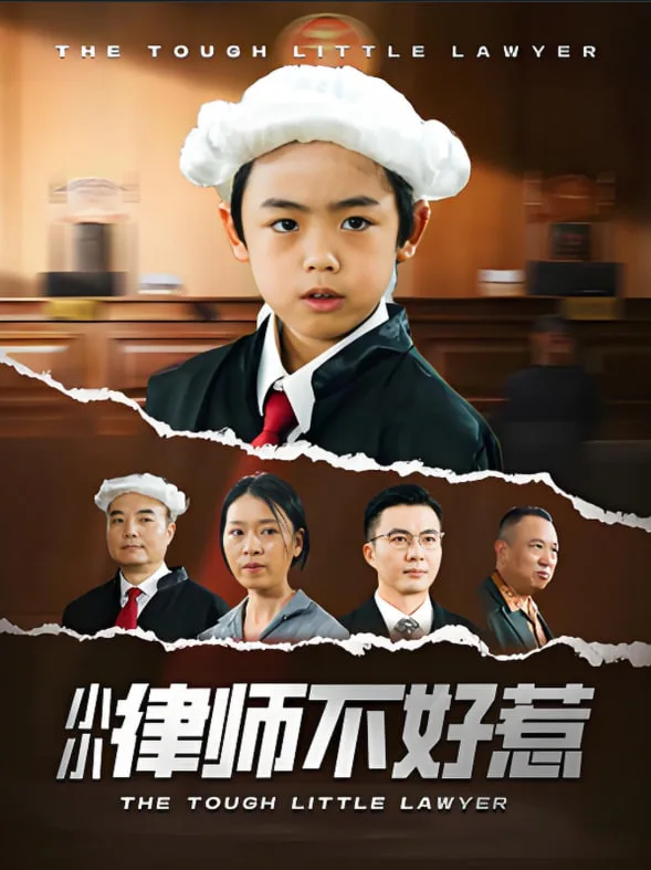 小小律师不好惹